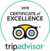 Tripadvisor-Awards-Travel Surity